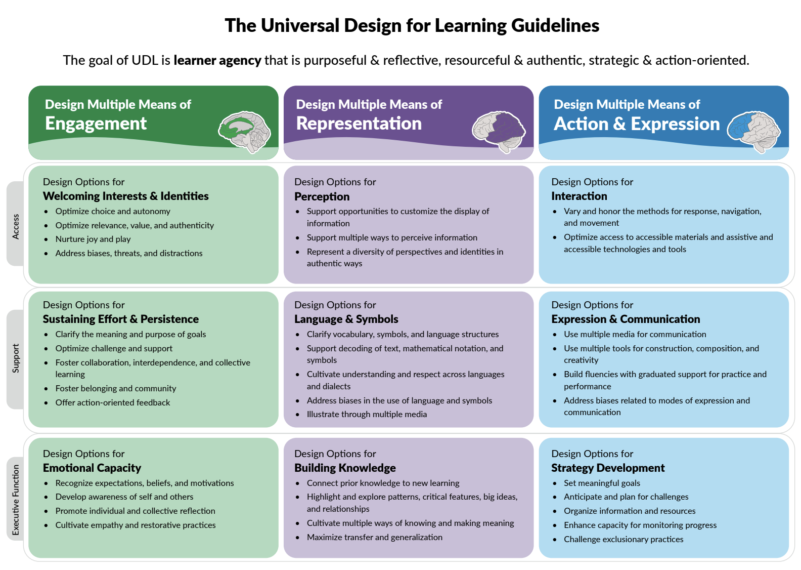 UDL Guidelines Image .png